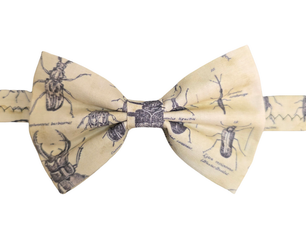 Beetle Bowtie